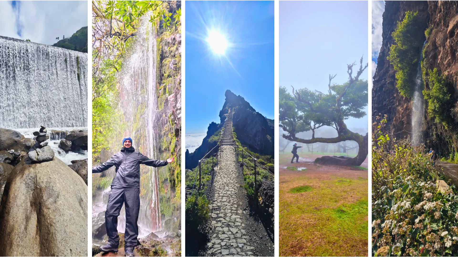 Madeira collage: a waterfall spilling over boulders, a levada waterfall, stone steps climbing a ridge above the clouds, a gnarled tree in fog and a cliffside waterfall