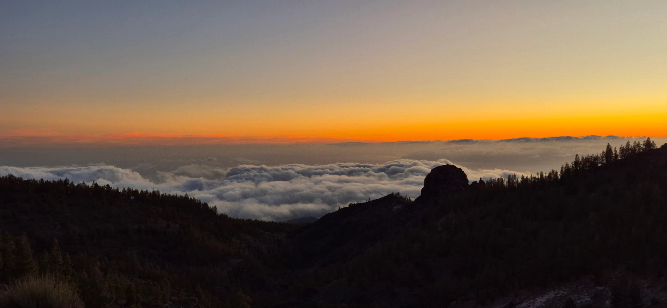 A golden sunset burning above a thick sea of clouds, with a dark volcanic outcrop and pine-covered ridge in silhouette in the foreground.